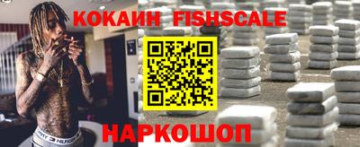 a pvp Кимры