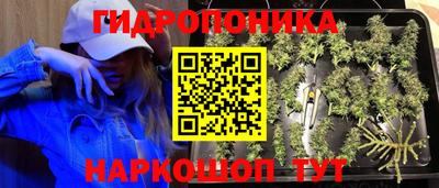 Альфа ПВП Кингисепп