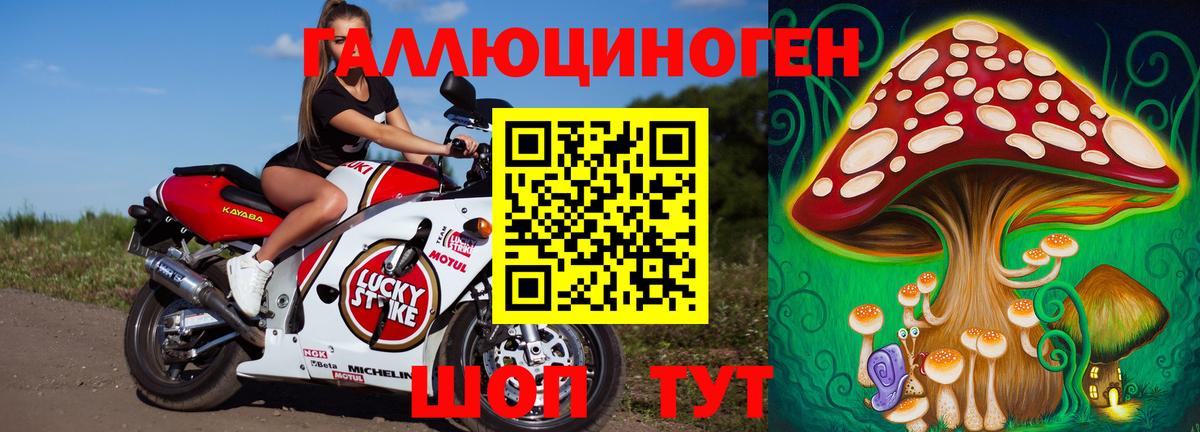 Галлюциногенные грибы Psilocybine cubensis Клин